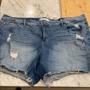 Torrid destructed denim shorts frayed hem